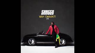 Shaggy  Live Official Audio [upl. by Niroc]