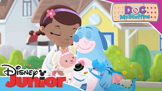 Doc McStuffins  The Doc Files  Boppys Boo Boo  Official Disney Junior Africa [upl. by Novehs550]