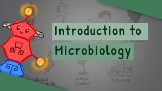 Introduction To Microbiology [upl. by Ynnahc914]