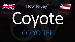 How to Pronounce Coyote  English American Pronunciation [upl. by Attehcnoc172]