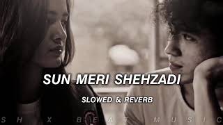 Sun Meri Shehzadi 😍  Slowed amp Reverb Ashwani Machal [upl. by Elleirua937]