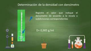 Densidad utilizando densímetro [upl. by Akinor]