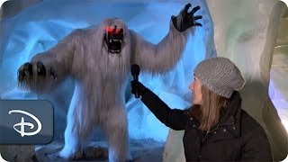 The Abominable Snowman Inside the Matterhorn  Disneyland Resort [upl. by Eimerej]