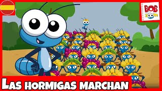 Bob Zoom  Las Hormigas Marchan  Español [upl. by Selry]