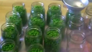 Canning Frozen Peas Yes you CAN can them [upl. by Romney]