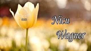 Nicu Wagner  Colaj cu cantari crestine noi [upl. by Ymarej574]