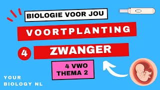 4 vwo  Voortplanting  4  Zwanger [upl. by Eelrak]