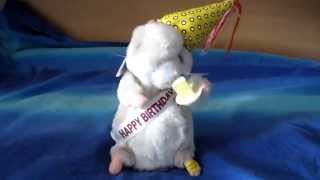 Singing Birthday hamsters by Gemmy [upl. by Shipp]