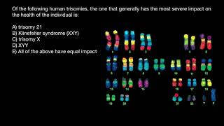 Trisomy 21 Klinefelter syndrome Triple X syndrome XYYtrisomy explained [upl. by Eivla]