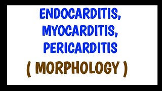 Endocarditis Myocarditis and Pericarditis  Morphology [upl. by Gayl]