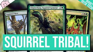 Chatterfang Squirrel General  Its Squirrel Tribal Time  Budget Commander Deck Tech  EDH  MTG [upl. by Bartolemo440]