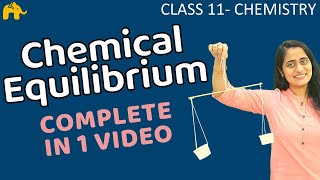 Equilibrium Chemistry Class 11  Chapter 7 Chemical Equilibrium One Shot  CBSE NEET JEE [upl. by Adnicaj351]