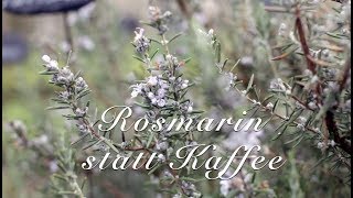 Rosmarin statt Kaffee  Viriditas HeilpflanzenVideo [upl. by Cirdek367]