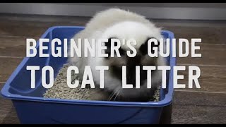 A Guide to Cat Litter in Australia  Review of The 5 Common Materials [upl. by Kilian]