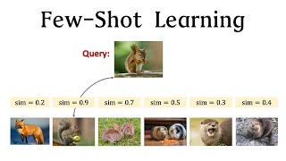 FewShot Learning 13 Basic Concepts [upl. by Alli382]