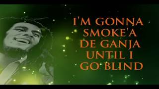 bob marley  ganja gun lyrics [upl. by Dayir]