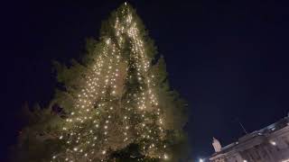 Trafalgar Square 75h Christmas Tree 2022 [upl. by Lynd]