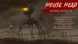 House Head Sound Effects [upl. by Jerrilee]