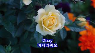 Dizzy  Tommy Roe with Lyrics가사번역 [upl. by Grath]