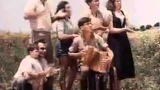 Hava Nagila  Famous Israeli jewish folk song  authentic dance [upl. by Lukin]