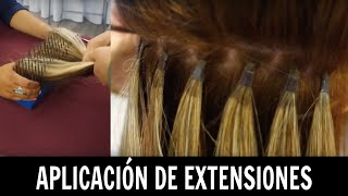 Aplicación de extensiones  Ana Mireles [upl. by Eveneg631]