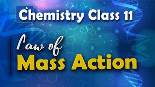 Law of Mass Action  Chemical Equilibrium  Chemistry Class 11 [upl. by Adile802]