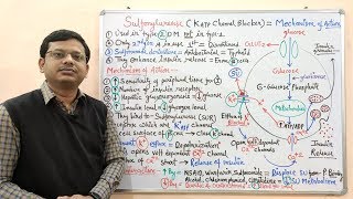 Diabetes Mellitus Part10 Mechanism of Action of Sulfonylurease  Antidiabetic Drugs  Diabetes [upl. by Hairas23]