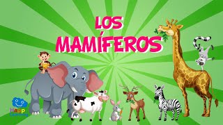 Los Mamíferos  Videos Educativos para Niños [upl. by Fanchan]