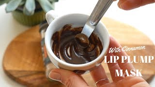 DIY LIP PLUMP MASK WITH CINNAMON [upl. by Florentia]