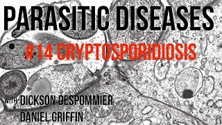 Parasitic Diseases Lectures 14 Cryptosporidiosis [upl. by Freberg]