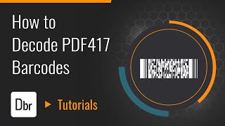 How to Decode PDF417 Barcodes  Dynamsoft Tutorials [upl. by Whiteley965]