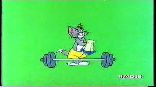 sigle cartoni  quottom amp jerry showquot iniziale finale  raidue  anno 1994 [upl. by Nogaem]