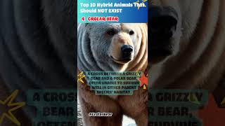 Top 10 Ugliest Animals part0206 [upl. by Haroun267]