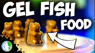 DIY GEL FISH FOOD  HOMEMADE REPASHY GUMMY BEAR FISH FOOD [upl. by Yevad]