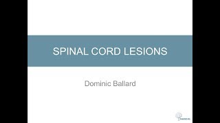 Spinal Cord Lesions [upl. by Anaehr]