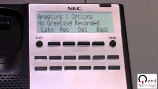 NEC SL1100 Voicemail Setup [upl. by Nialb]