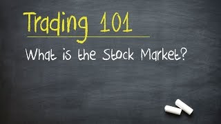 Trading 101 What is the Stock Market [upl. by Sualk]