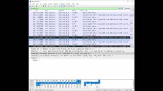 How to Use Wiresharks Follow TCP Stream Feature [upl. by Sayers]