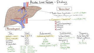 Chalk Talk Acute Liver Failure [upl. by Dinah]