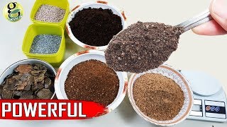 Best DIY Fertilizer Mix Recipe Universal Allpurpose Mixed Fertilizer Powder [upl. by Ueih]