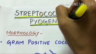 STREPTOCOCCUS PYOGENES  microbiology handwritten notes [upl. by Ludwig234]