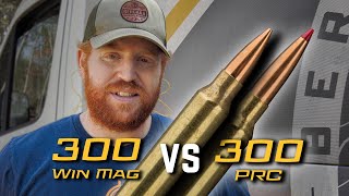 300 Win Mag vs 300 PRC  Why are People Buying this Cartridge [upl. by Vander]