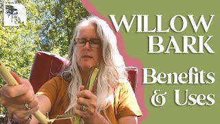 Willow Bark Benefits and Uses [upl. by Nesta777]