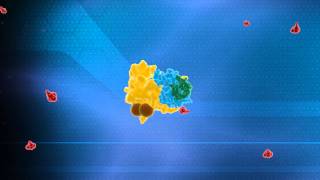 Ubiquitin System Animation  Nobel Prize in Chemistry 2004 Technion [upl. by Selim]