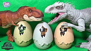 Hatch new Dinosaur Eggs with Jurassic World Dinosaur Toys [upl. by Fitz]