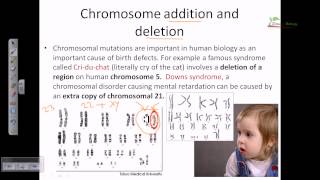 Chromosomal mutation [upl. by Dlanger]