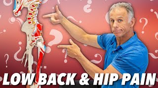 Low Back amp Hip Pain Is it Nerve Muscle or Joint How to Tell [upl. by Saidee993]