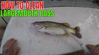 HOW TO CLEAN A LARGEMOUTH BASS [upl. by Klarika246]