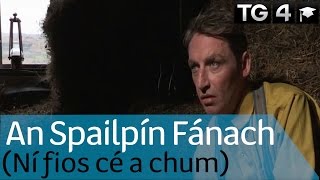 An Spailpín Fánach  Dánta  TG4 Foghlaim [upl. by Hatnamas]