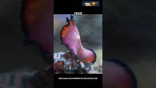 Fun Facts Ocean Flatworm [upl. by Eerihs717]